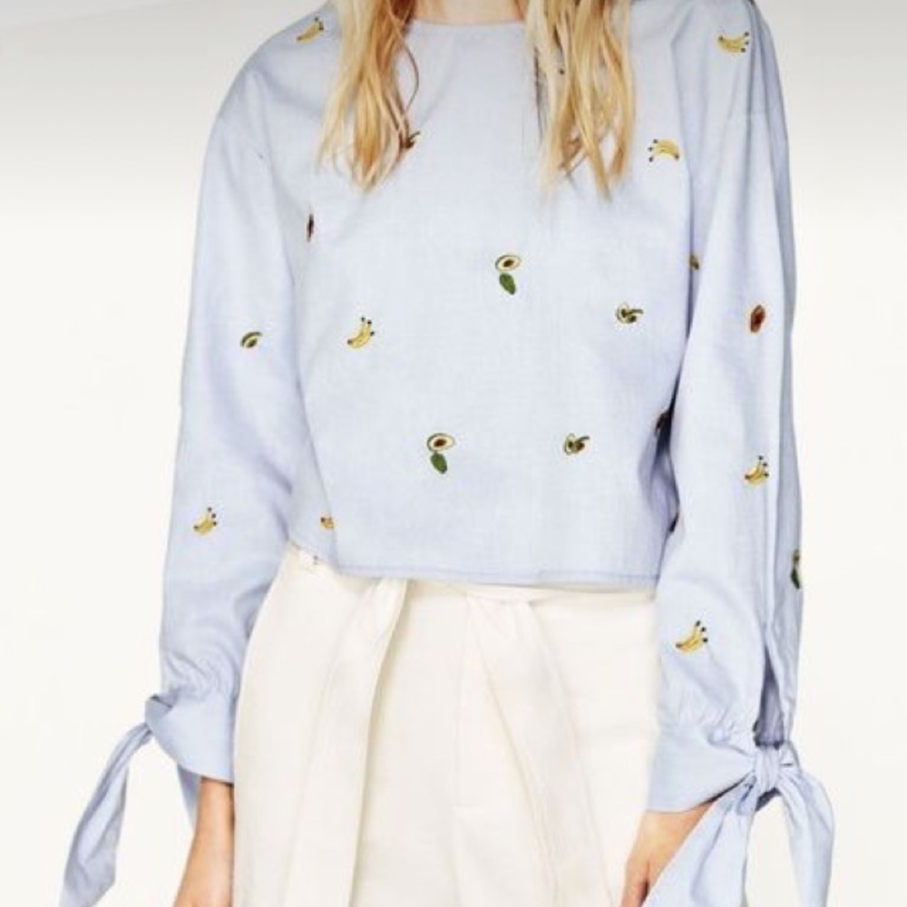 Zara Fruit Embroidered Top